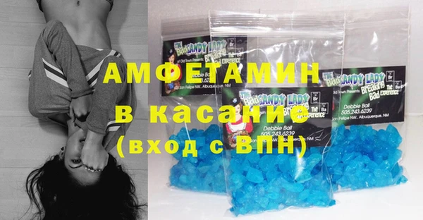 шишки Аркадак