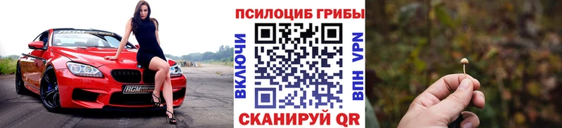 Псилоцибиновые грибы мицелий  наркотики  blacksprut ссылки  Любань 